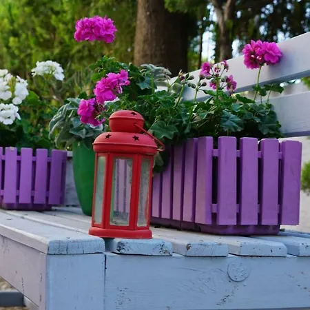 Lägenhetshotell Irem Garden & 2*