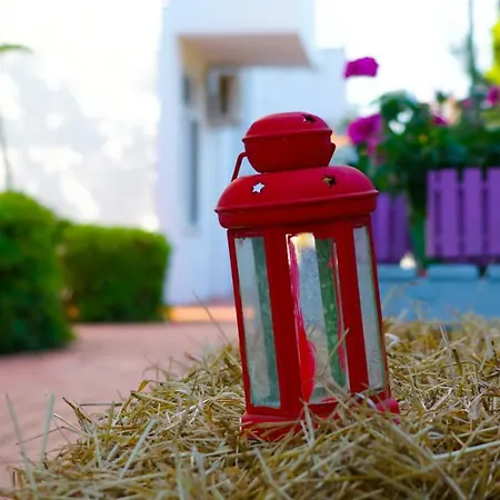 Aparthotel Irem Garden &